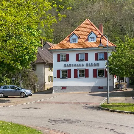 Zur Blume & Restaurant Bei Basel Efringen-Kirchen