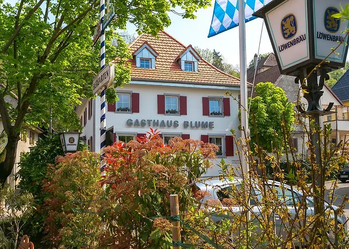 ゲストハウス Zur Blume & Restaurant Bei Basel 3*